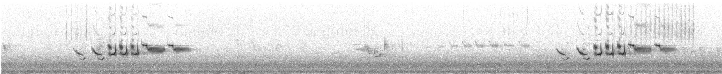 strnad zahradní - ML645981948