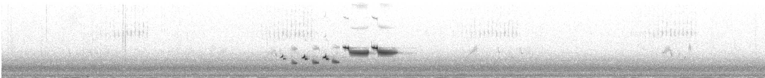 strnad zahradní - ML645981949