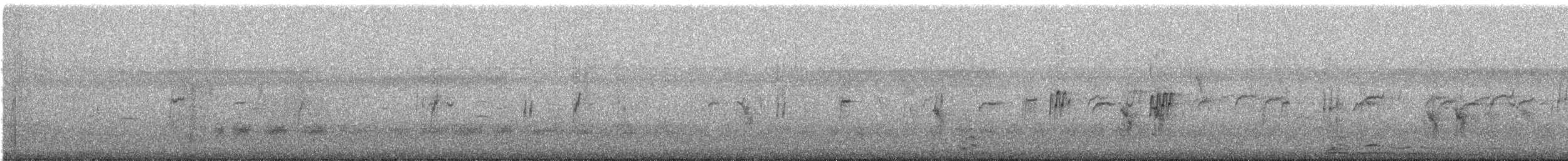 White-rumped Munia - ML645982033