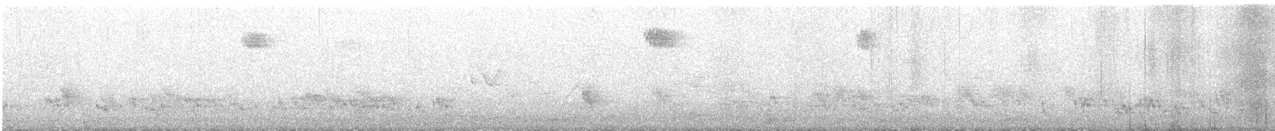 Turdus sp. - ML645982083