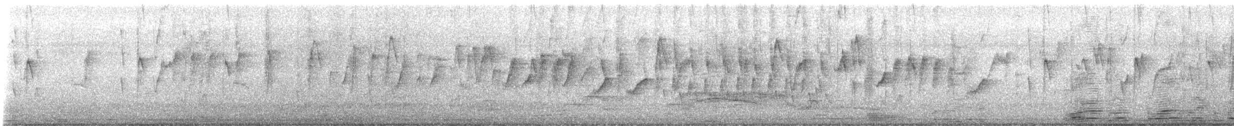 strdimil palawanský - ML645982146