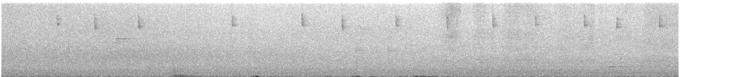 strnad sp. - ML645982169