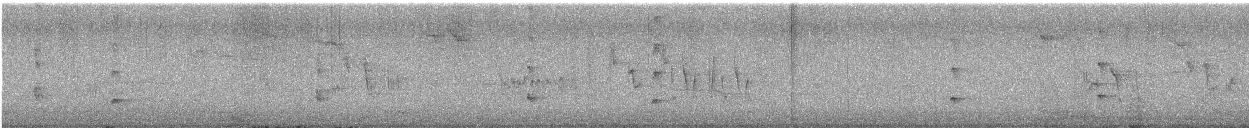 Water Rail - ML645982226