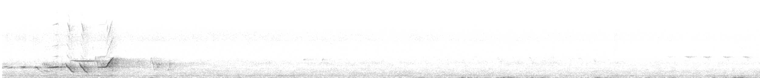 Siffleur gris - ML645982307