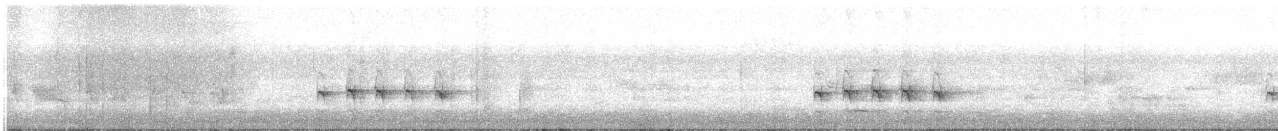 Sacred Kingfisher (Australasian) - ML645982324