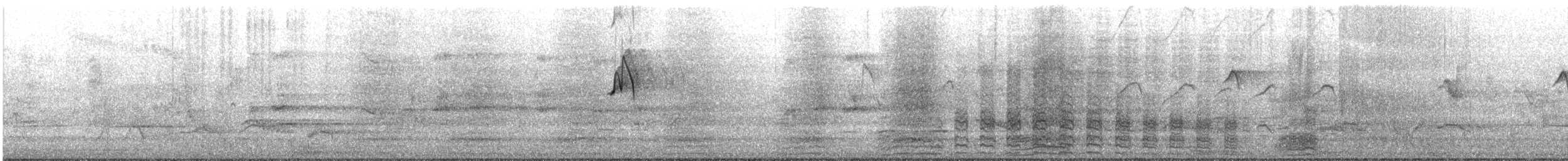 Canard à sourcils - ML645982421