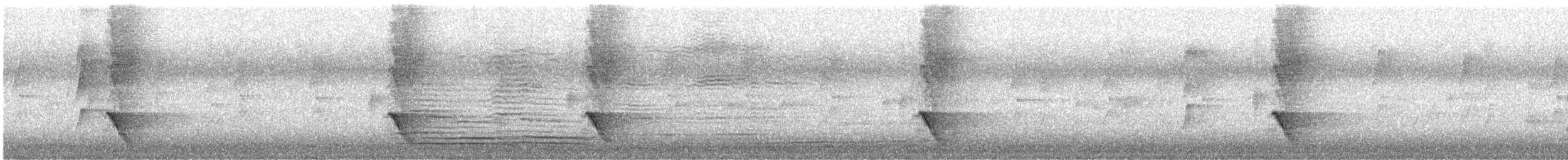 Australasian Figbird - ML645982456