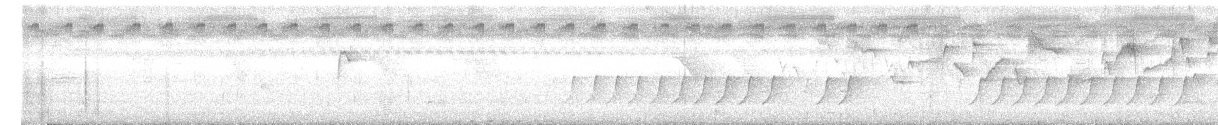 Black-naped Monarch - ML645982463