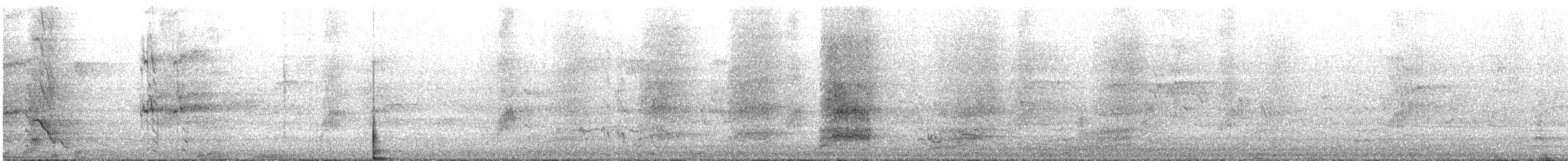 Pacific Black Duck - ML645982476