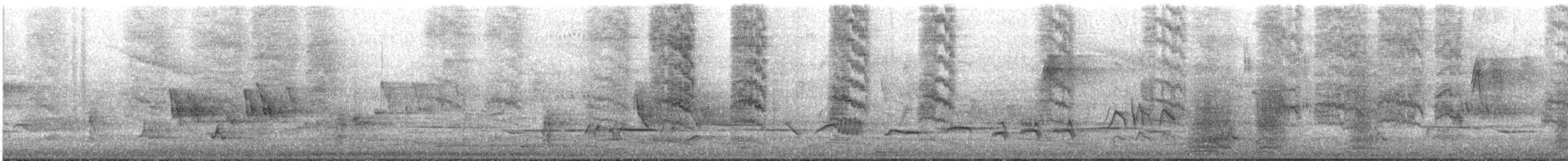 bird sp. - ML645982485