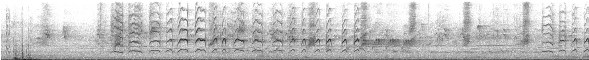 bird sp. - ML645982486