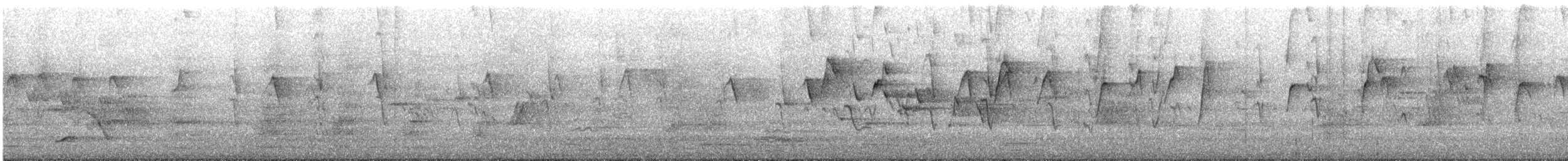 bird sp. - ML645982487