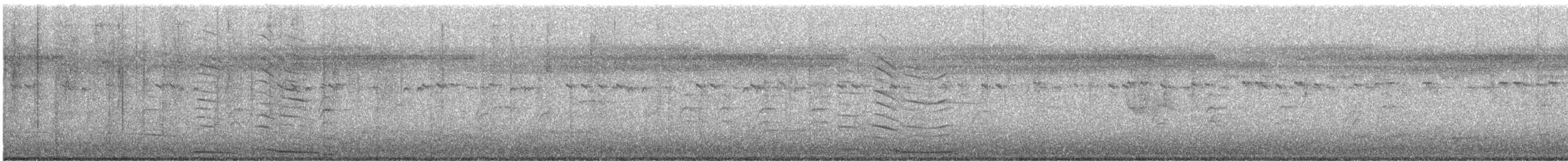 Black Swan - ML645982507