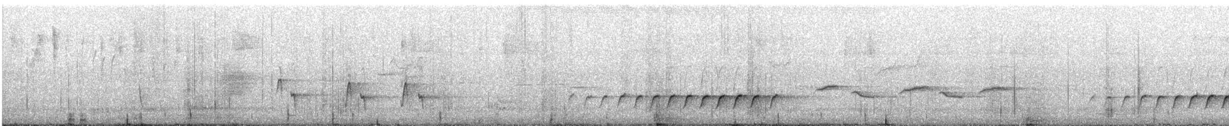 White-throated Treecreeper - ML645982532