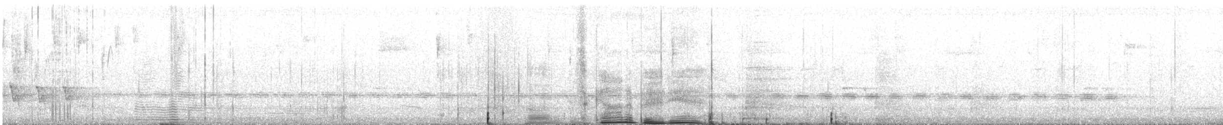 Sahul Cicadabird - ML645982545