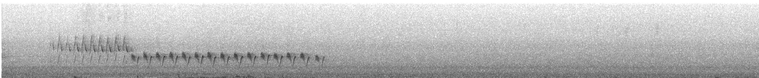 White-winged Triller - ML645982597