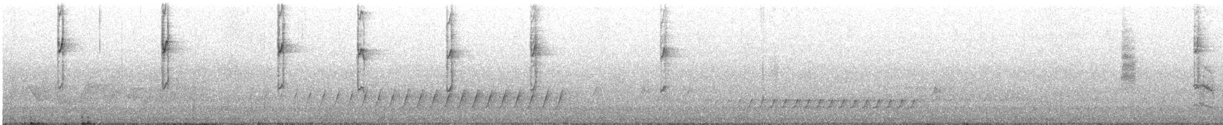 White-naped Honeyeater - ML645982599