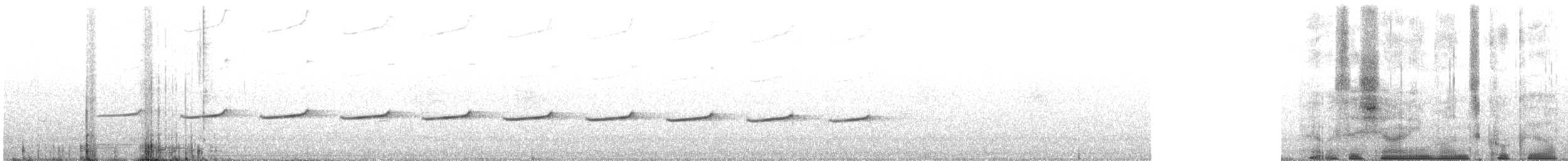 Shining Bronze-Cuckoo - ML645982622