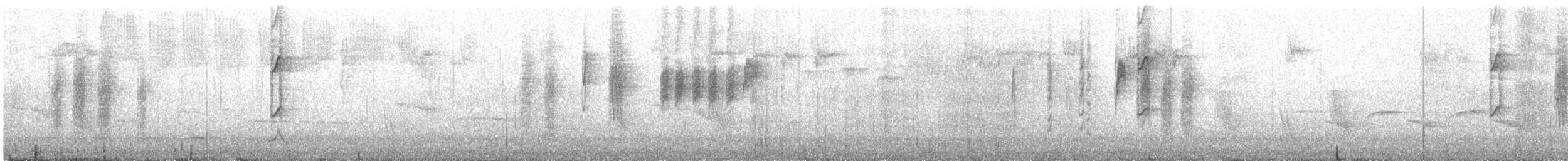 Striated Thornbill - ML645982634