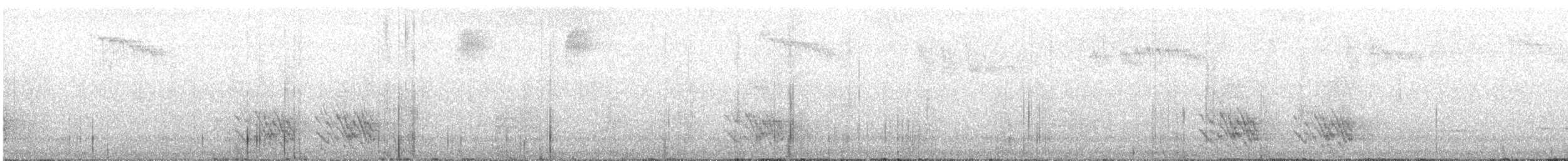 Black-faced Cuckooshrike - ML645982635