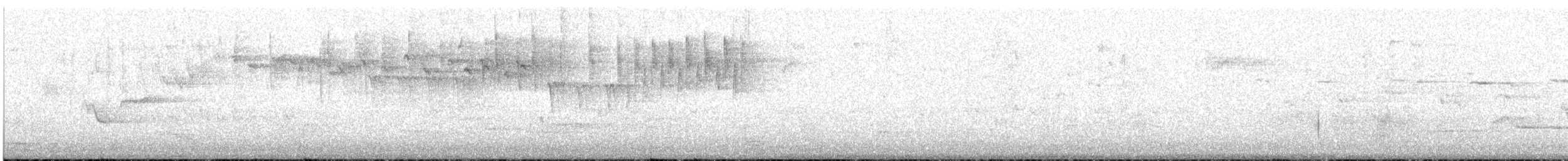 Superb Fairywren - ML645982718