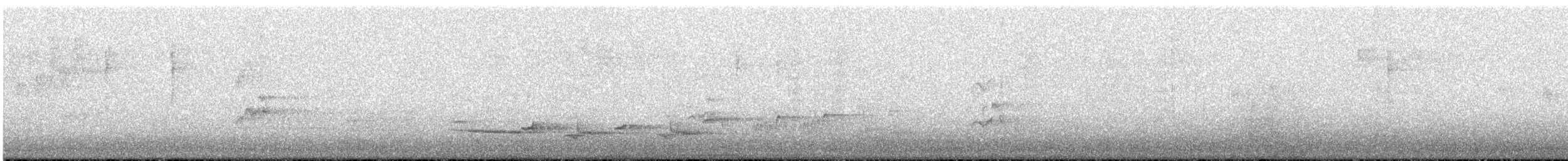 Дрізд чорний - ML645982856