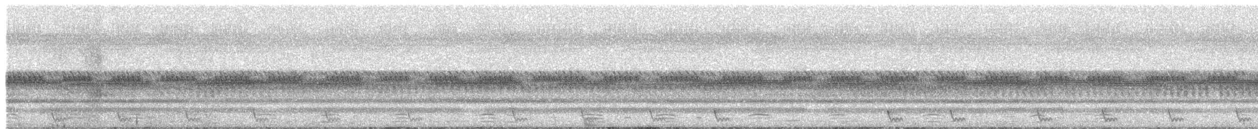 Large-tailed Nightjar - ML645982899