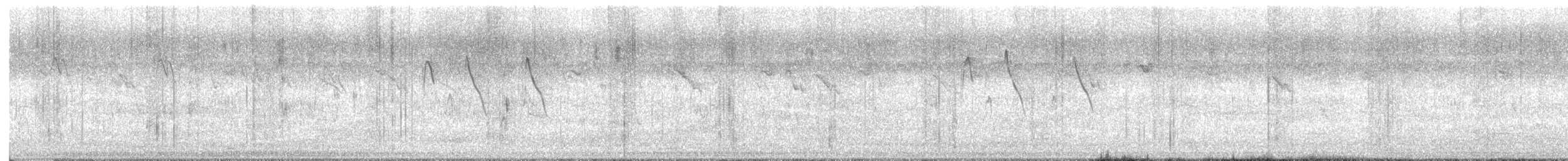 tigerastrild - ML645983838