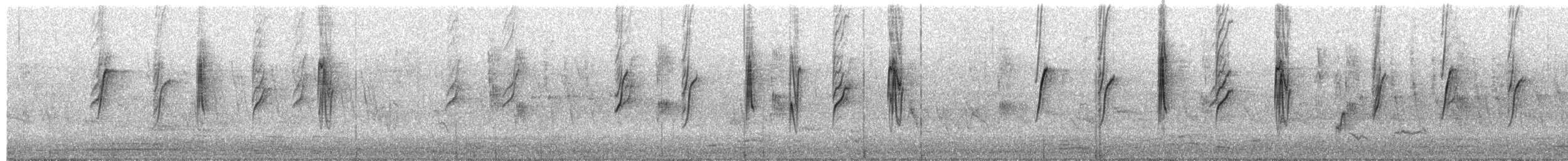 vdovka černobílá - ML645983849