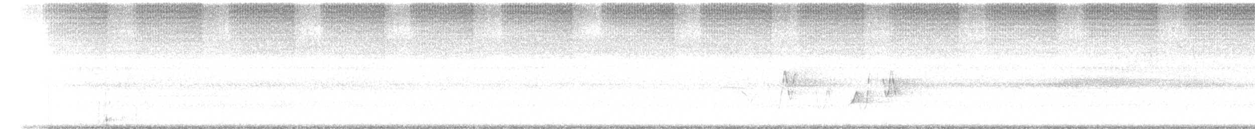 Paperbark Cicada - ML645984048