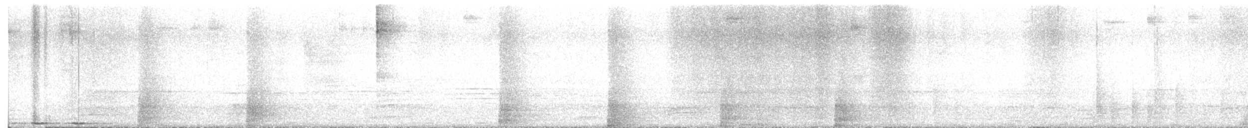 Greater Coucal - ML645984075