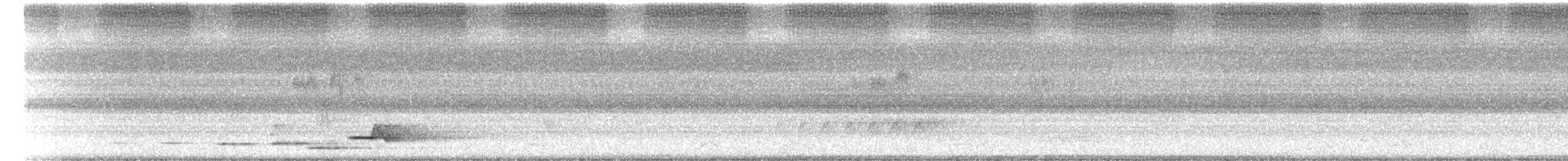 Paperbark Cicada - ML645984267