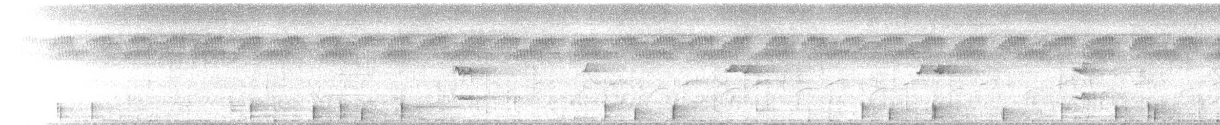 Striped Marsh Frog - ML645984388