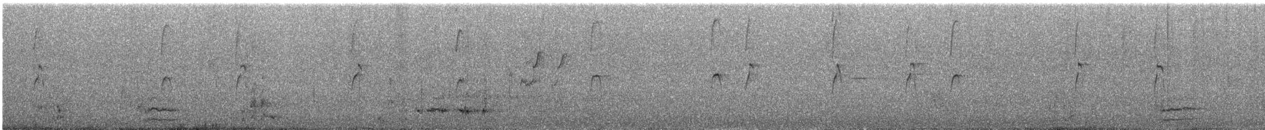 Varied Sittella - ML645984454