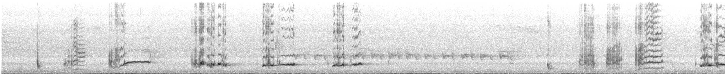 Медолюб-дзвіночок - ML645984586