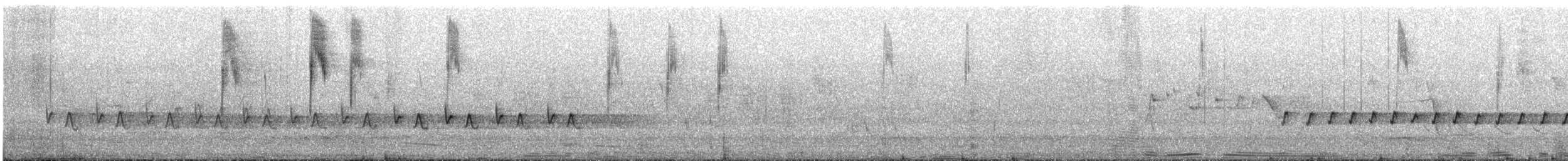 Miro enchanteur - ML645984836