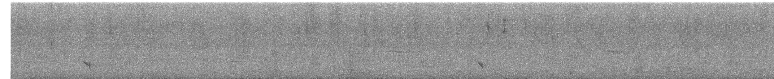 Gray-winged Blackbird - ML645985034