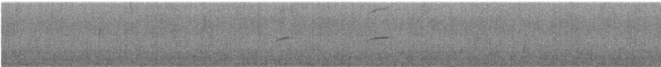 Plumbeous Redstart - ML645985038