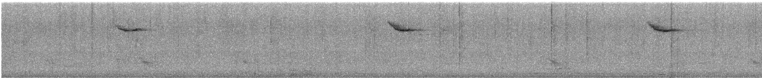 Rufous-bellied Niltava - ML645985040