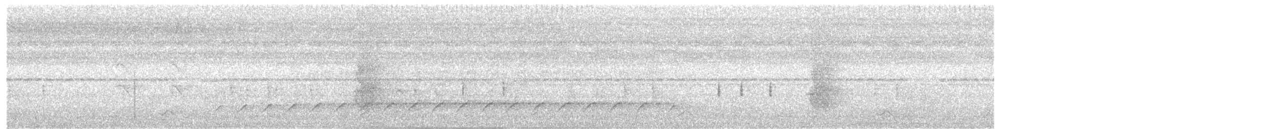 シマクマゲラ - ML645985145