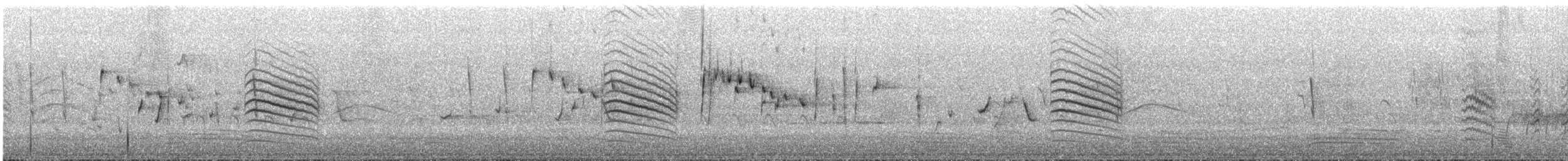 カノコスズメ - ML645985151