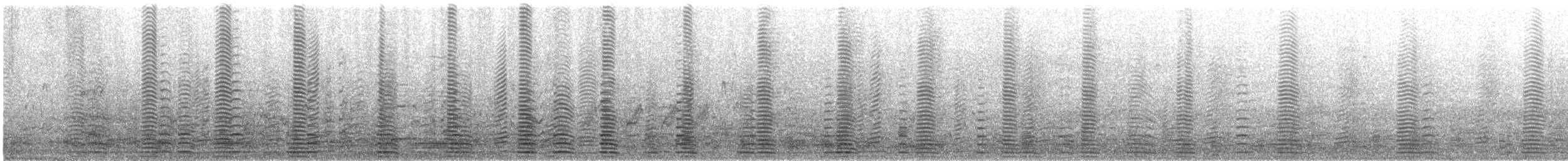 Canaroie semipalmée - ML645986112