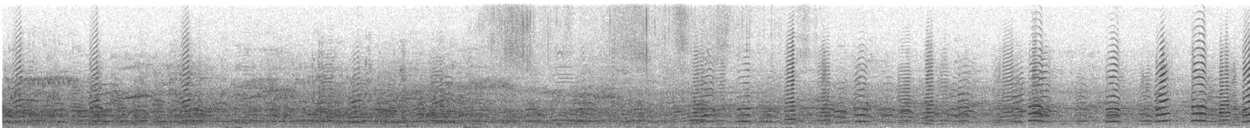 Canaroie semipalmée - ML645986209