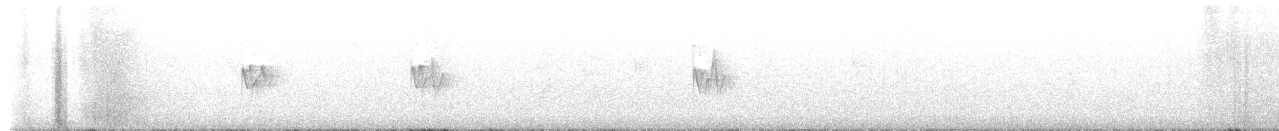 Pouillot à deux barres - ML645986303