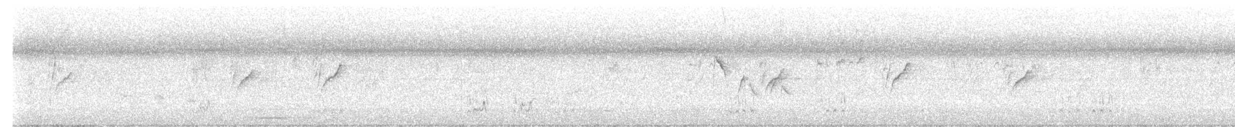 Атласная нектарница - ML645986594