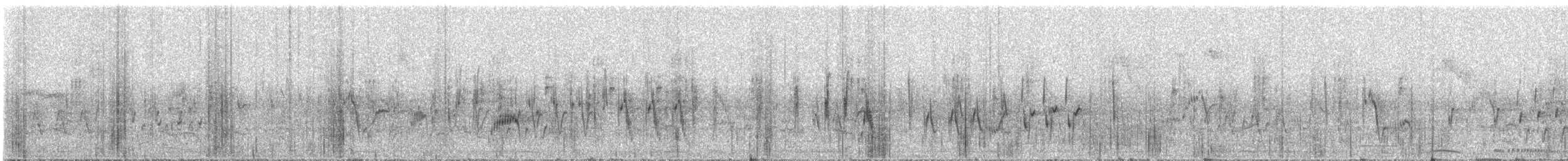 Mégalure des marais - ML645986700