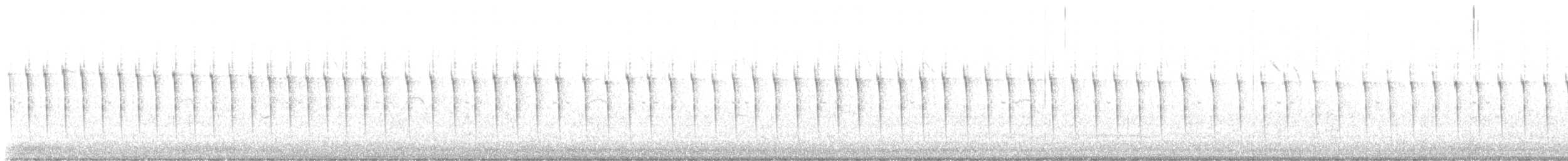 Auripare verdin - ML645986840