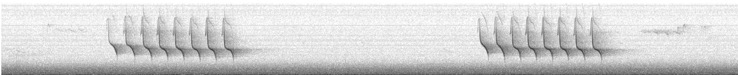 Marsh Tit - ML645987710