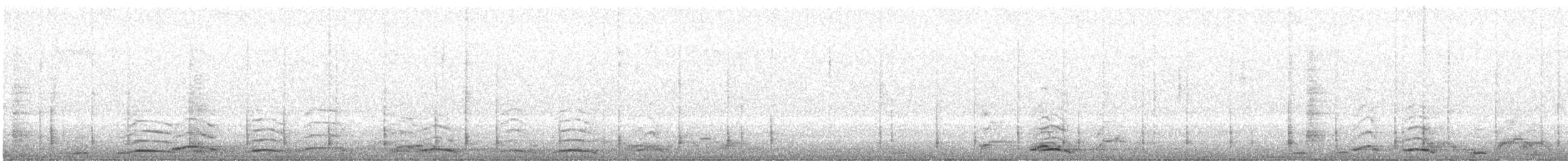 Лебідь чорнодзьобий - ML645988071