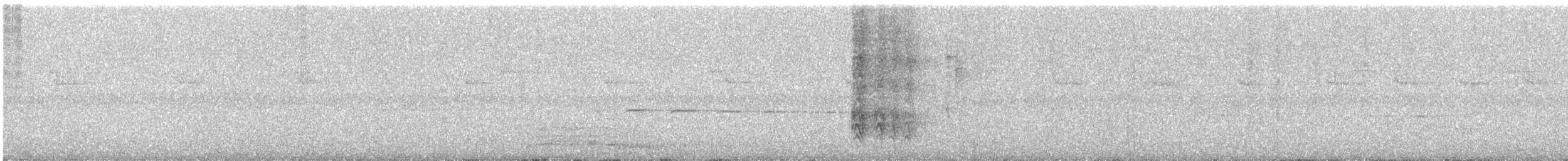 Пая кучерява - ML645988257